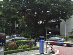 -深圳华侨城医院