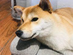 -About Bistro關於·泰式家庭料理