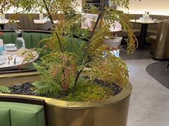 -KingThaia金泰兰(滨江天街店)