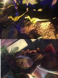 -恐龙探索乐园(磁器口店)