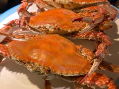 -开海·红岛海鲜虾水饺(石老人店)