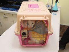 -美联众合24小时·皮肤科·外科·全科诊疗中心(华苑分院)