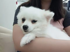 -怪兽屋·羊驼·猫咖·狗咖(俊华广场店)