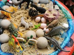 -福州淑佩小金星幼儿园