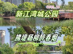 -新江湾城公园