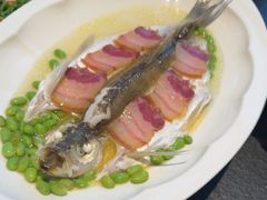 鸡油风肉蒸白条-锦荟JINHUI·浙江小馆(上海荟聚店)