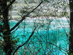 -九寨沟-树正沟