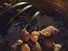 -亚龙湾希尔顿自助餐厅·海鲜·烧烤·沙滩BBQ·现场乐队