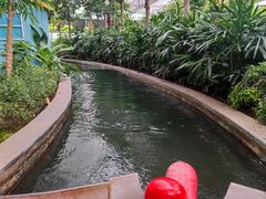 -南宫五洲植物乐园