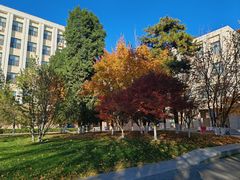 -北京化工大学(东校区)