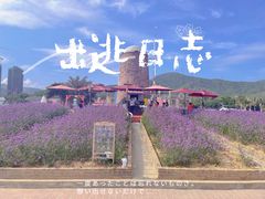 -玫瑰海岸文化旅游度假区