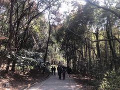 -虞山风景区
