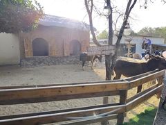 -HERRE·FARM 赫尔露营农场·团建聚会包场