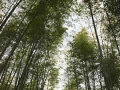 -千泷沟大瀑布旅游区
