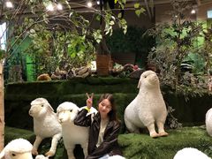 -济州岛泰迪熊博物馆