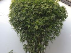 -浙江省博物馆(孤山馆区)