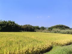 -良渚古城遗址公园