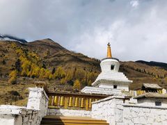 -四姑娘山阿巴郎·藏式花园餐厅