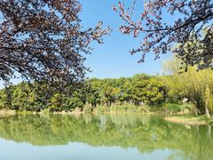 -昆山城市生态森林公园