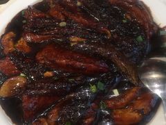 红烧甩水-顺风海鲜港(金玉兰店)