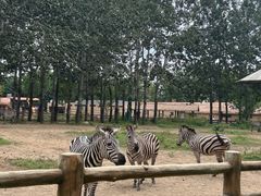 -大连森林动物园