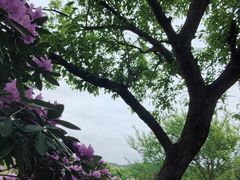 -名花谷生态庄园