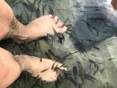 -三亚珠江南田温泉度假区