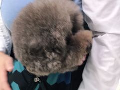 -申普宠物医院·眼科·心内科·影像科(普陀分院)