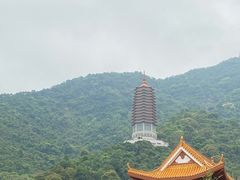 -深圳仙湖植物园