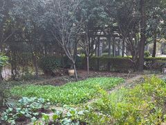 -故乡缘·香格里拉山庄(冷竹路店)