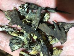 -九溪蒋记菌子宴