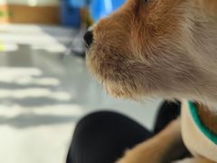 -美联众合动物医院·24h京西诊疗中心