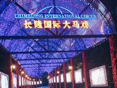 -广州长隆国际大马戏