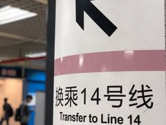 -大望路(地铁站)