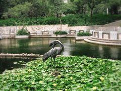 -苏州河梦清园环保主题公园