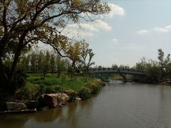 -上海长兴岛郊野公园