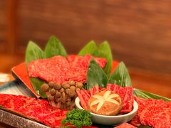 -炼火烤肉店