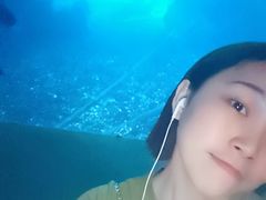 景观位-海棠湾洲际-涛·海底餐厅·龙虾·牛排·美人鱼