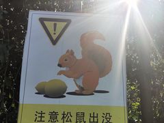 -上海佘山世茂艾美酒店