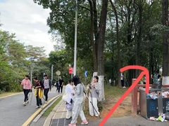 -黄埔油麻山森林公园