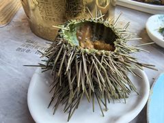 -雍容荟帝王蟹活龙虾展台自助(IFS黑金店)