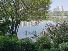 -南宁南湖公园
