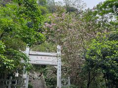 -柳侯公园
