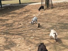 -无锡动物园·太湖欢乐园