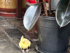 -悦真雅院·四合院·清真私房菜(雍和宫店)