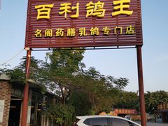 -百利鸽王(紫薇路店)