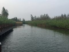 -泗洪洪泽湖湿地景区