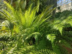 -国家植物园南园