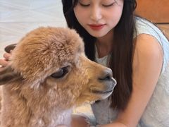 -Blue Concept Cafe&Farm·關於藍