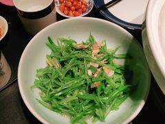 -凤凰湘语(浦东旗舰店)